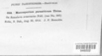 Image Associated With the Occurence